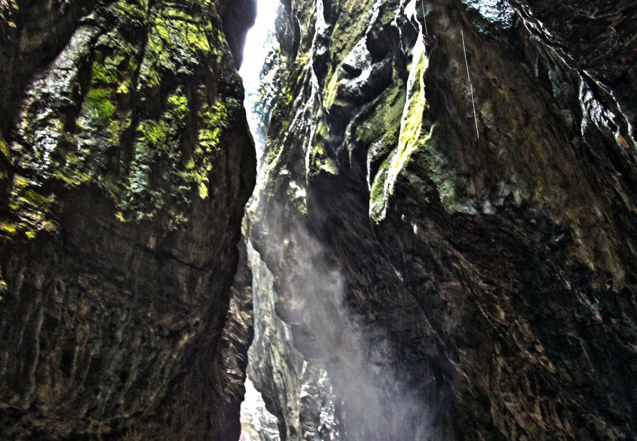 Appartamento a Tremosine - La Quiete 24 Holideal Apartment Lake view Appartamento a Tremosine - La Quiete 24 Holideal Apartment Lake view