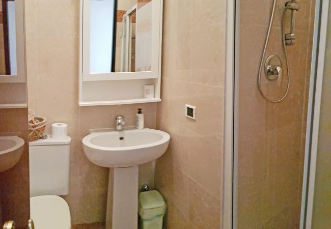 Appartamento a Campione del Garda - Campione Splendid View beach front Appartamento a Campione del Garda - Campione Splendid View beach front