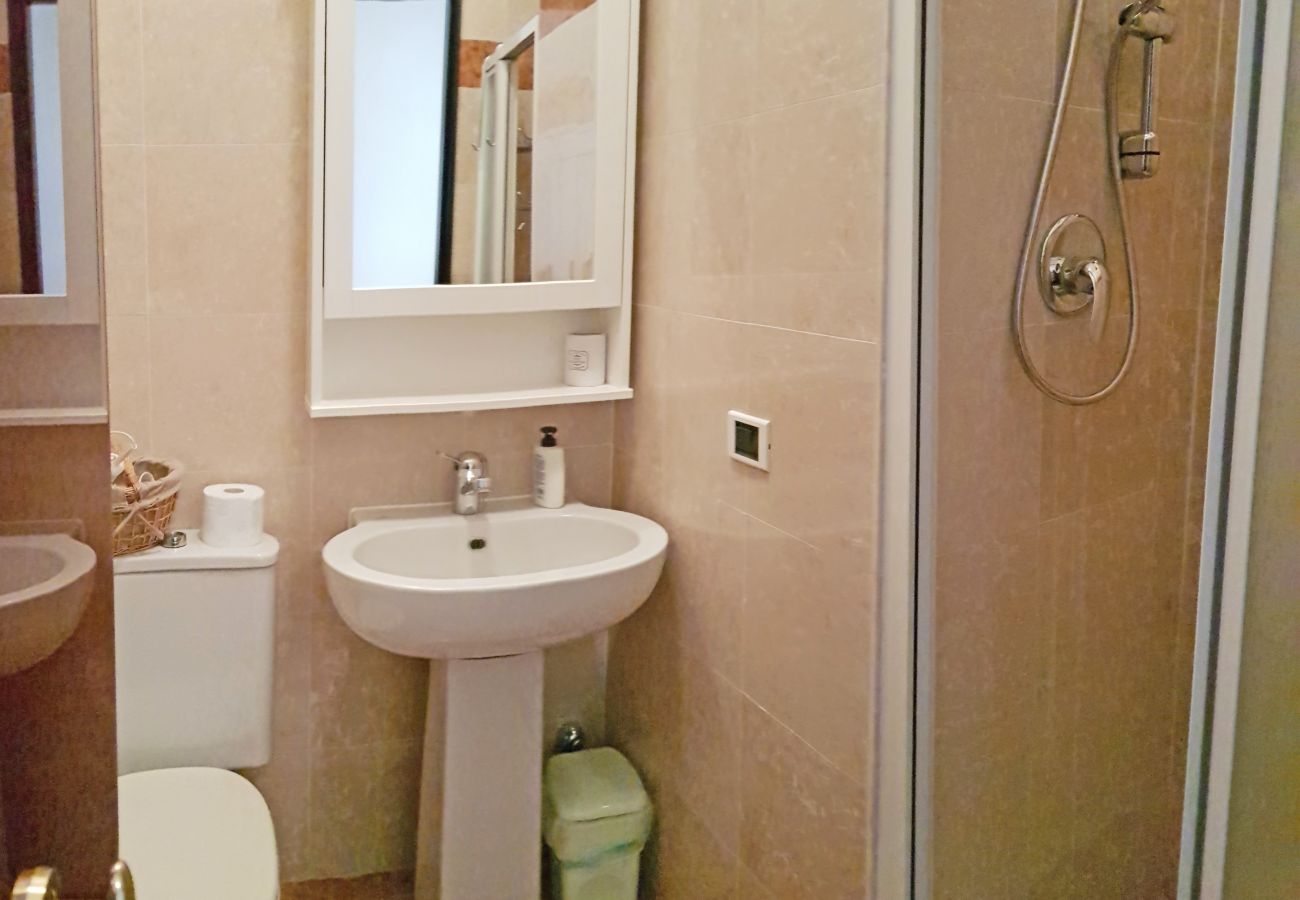 Appartamento a Campione del Garda - Campione Splendid View beach front Appartamento a Campione del Garda - Campione Splendid View beach front