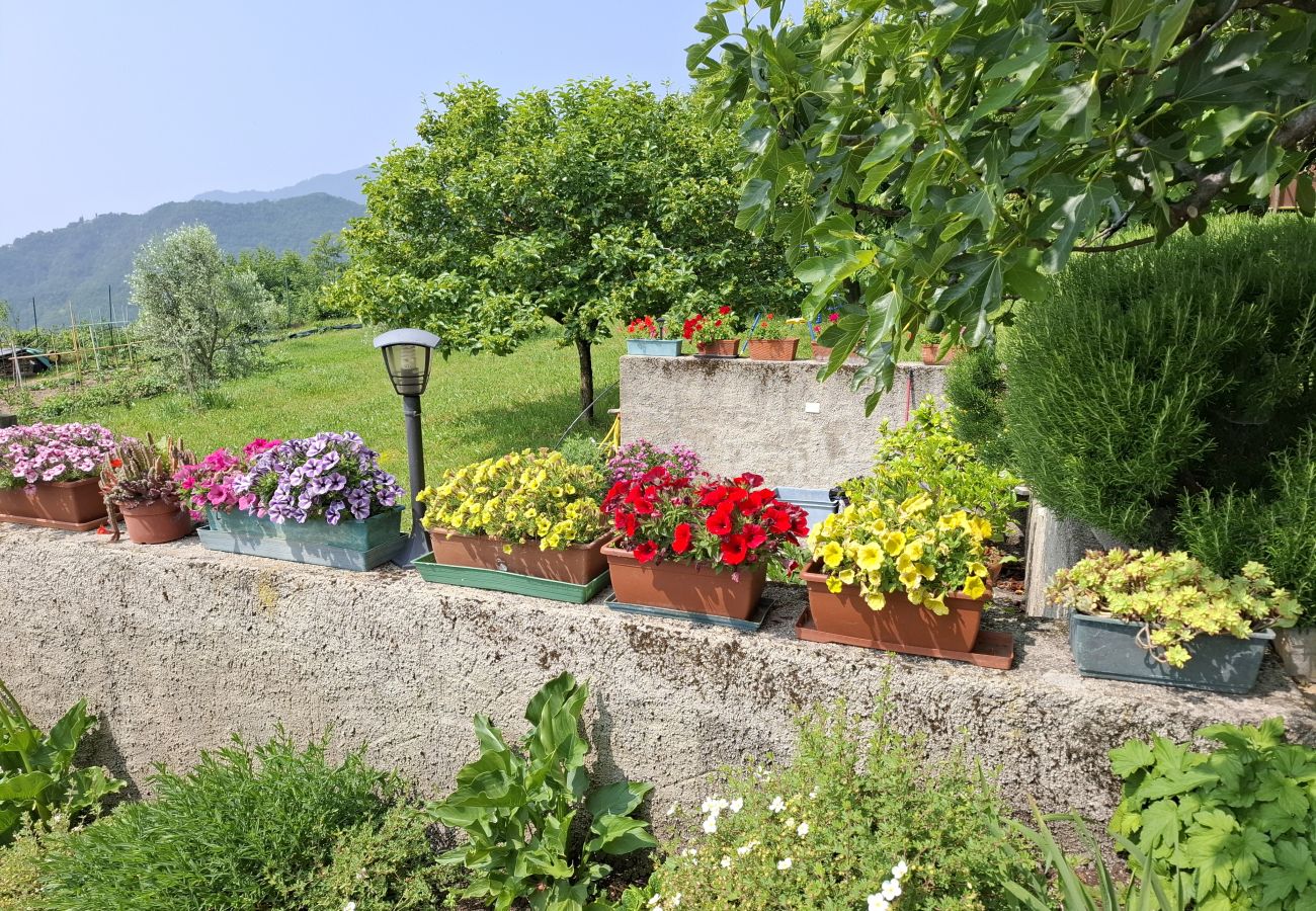 Appartamento a Tremosine - Teresa Appartamento Vista Appartamento a Tremosine - Teresa Appartamento Vista