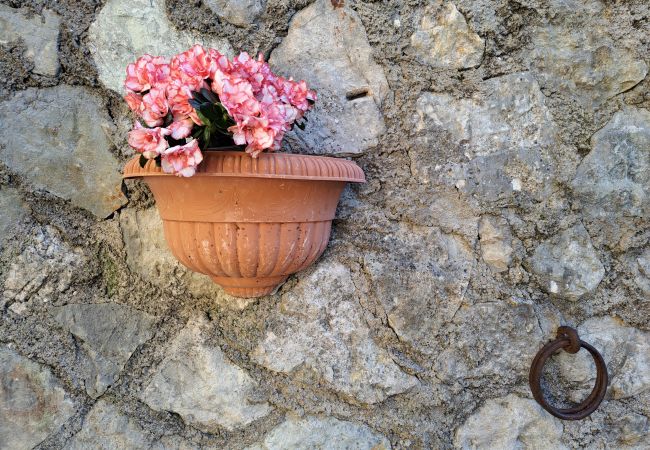 Appartamento a Tignale - Bonaventura 4 Gardola Apartment Appartamento a Tignale - Bonaventura 4 Gardola Apartment