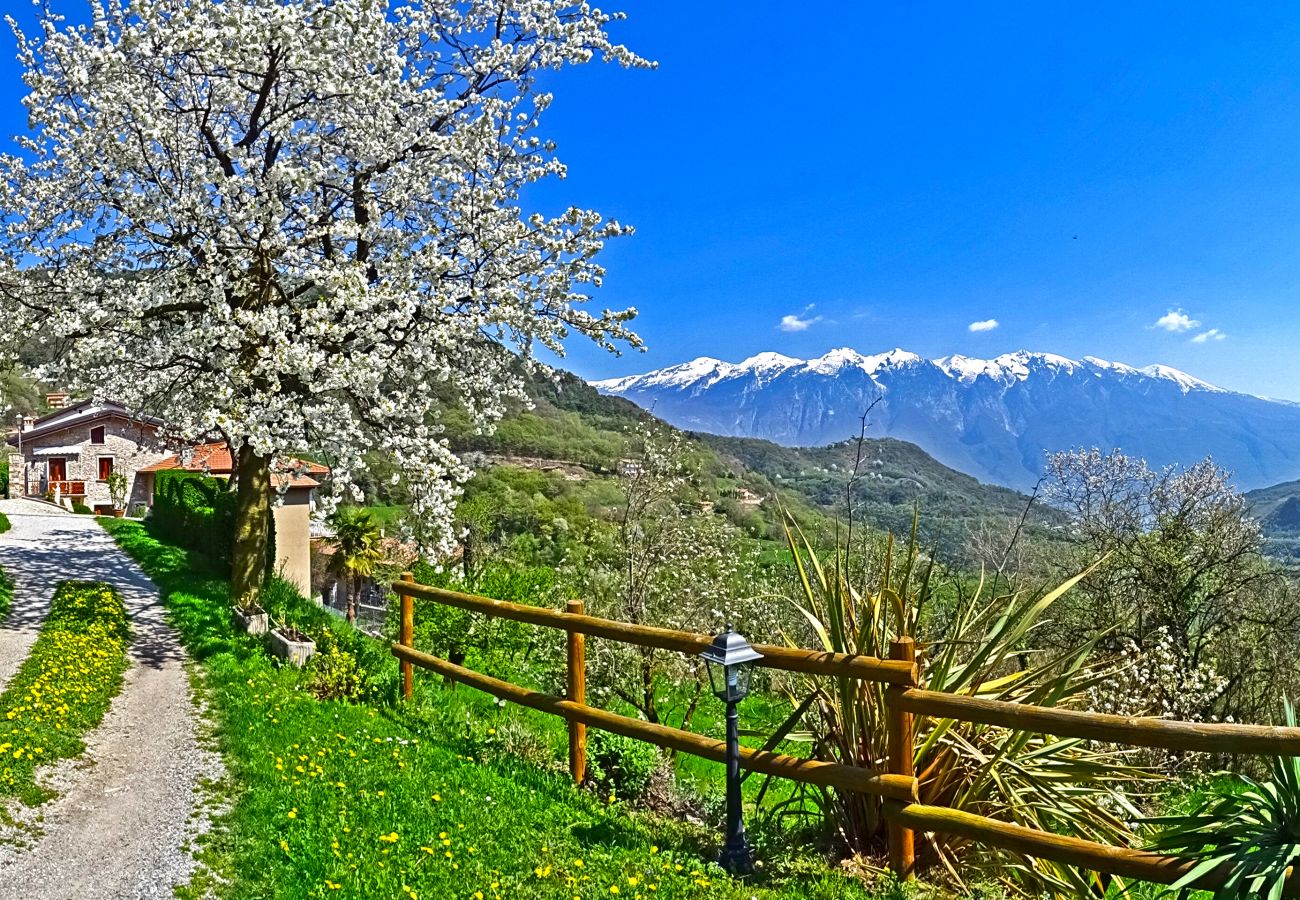 Ferienwohnung in Tremosine - Casa Belvedere Ciclamino 017189-CNI-00110 Ferienwohnung in Tremosine - Casa Belvedere Ciclamino 017189-CNI-00110