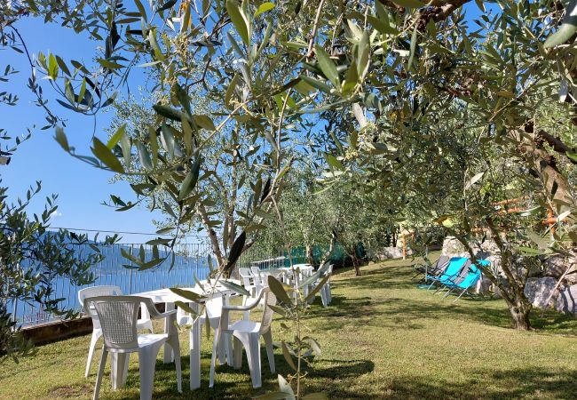 Ferienwohnung in Tremosine - Ulivi sul Garda apartment 2 017189-CNI-00293 Ferienwohnung in Tremosine - Ulivi sul Garda apartment 2 017189-CNI-00293