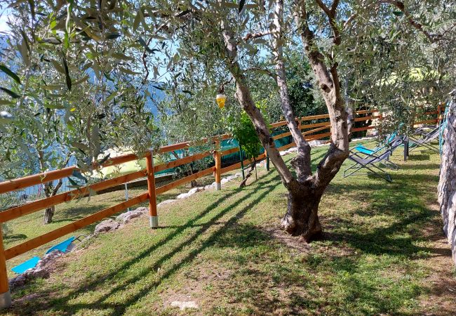 Ferienwohnung in Tremosine - Ulivi sul Garda apartment 2 017189-CNI-00293 Ferienwohnung in Tremosine - Ulivi sul Garda apartment 2 017189-CNI-00293