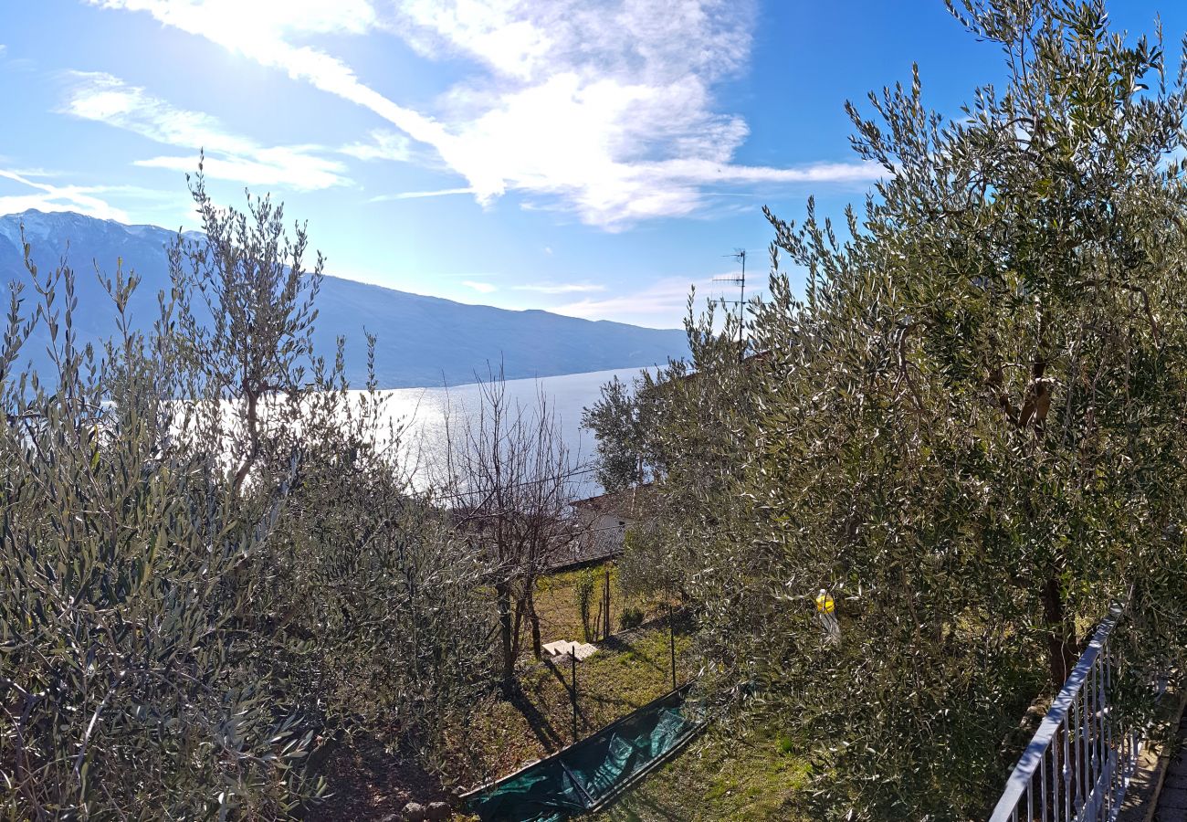 Ferienwohnung in Tremosine - Ulivi sul Garda apartment 2 017189-CNI-00293 Ferienwohnung in Tremosine - Ulivi sul Garda apartment 2 017189-CNI-00293