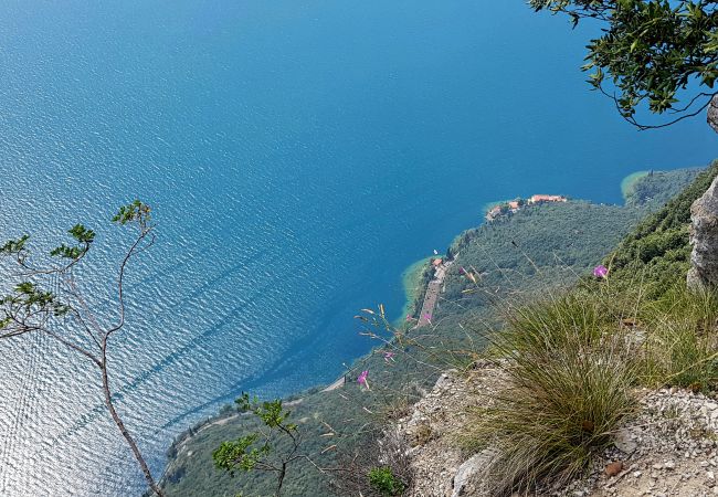 Ferienwohnung in Tignale - Appartamento 103 Benaco Ferienwohnung in Tignale - Appartamento 103 Benaco