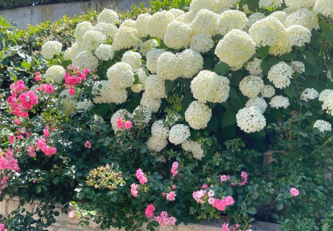 Ferienwohnung in Tremosine - Villa Ortensia Garden Ferienwohnung in Tremosine - Villa Ortensia Garden