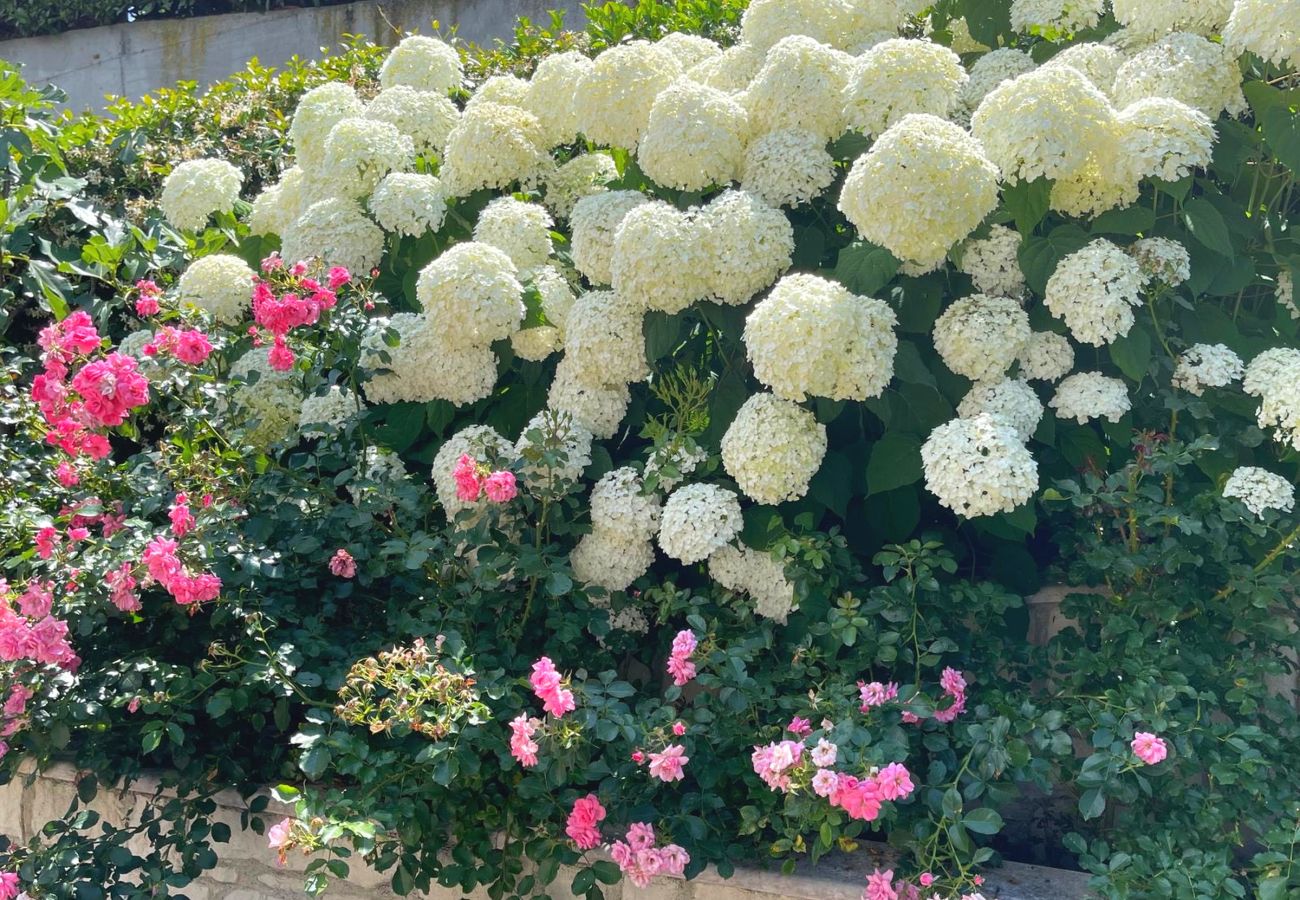 Ferienwohnung in Tremosine - Villa Ortensia Garden Ferienwohnung in Tremosine - Villa Ortensia Garden