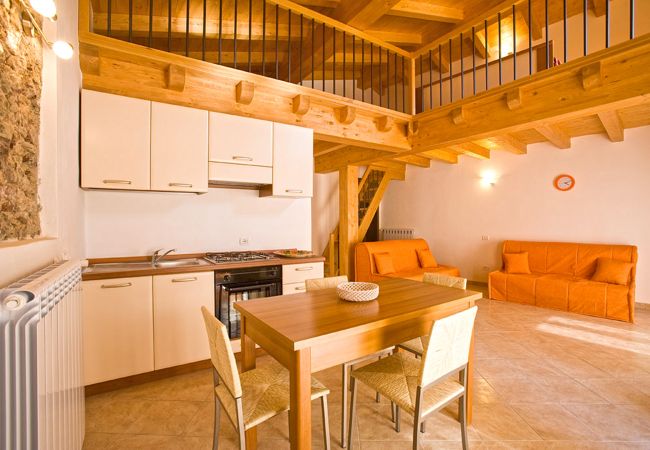 Apartment in Tremosine - Casa Belvedere Ciclamino 017189-CNI-00110 Apartment in Tremosine - Casa Belvedere Ciclamino 017189-CNI-00110