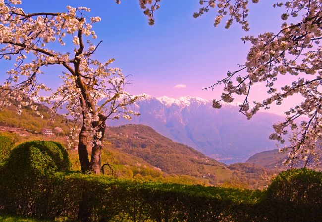 Apartment in Tremosine - Casa Belvedere Ciclamino 017189-CNI-00110 Apartment in Tremosine - Casa Belvedere Ciclamino 017189-CNI-00110