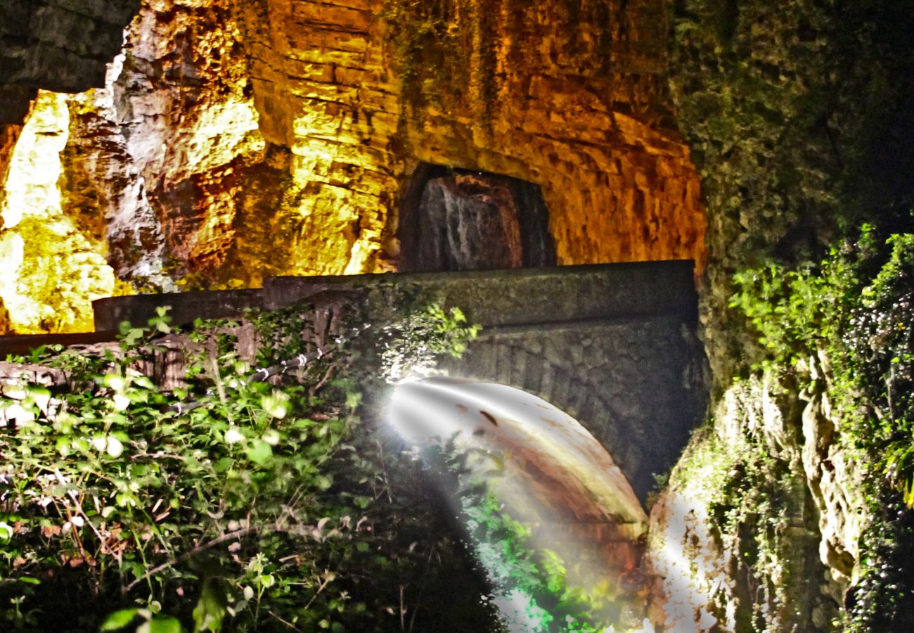 Apartment in Tremosine - Casa Belvedere Ciclamino 017189-CNI-00110 Apartment in Tremosine - Casa Belvedere Ciclamino 017189-CNI-00110