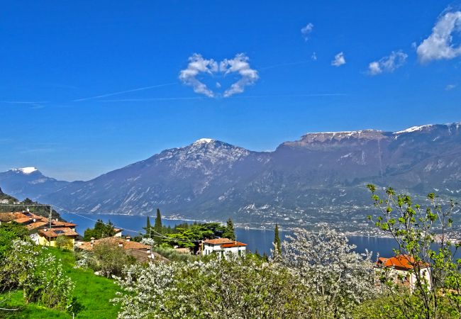 Apartment in Tremosine - La Quiete 29 Holideal Apartment Apartment in Tremosine - La Quiete 29 Holideal Apartment